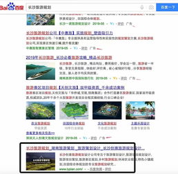 深圳富海360總部旅游開發(fā)項目策劃咨詢 搜索引擎與網絡營銷案例解析